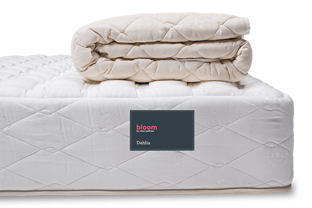 queen mattress dahlia medium